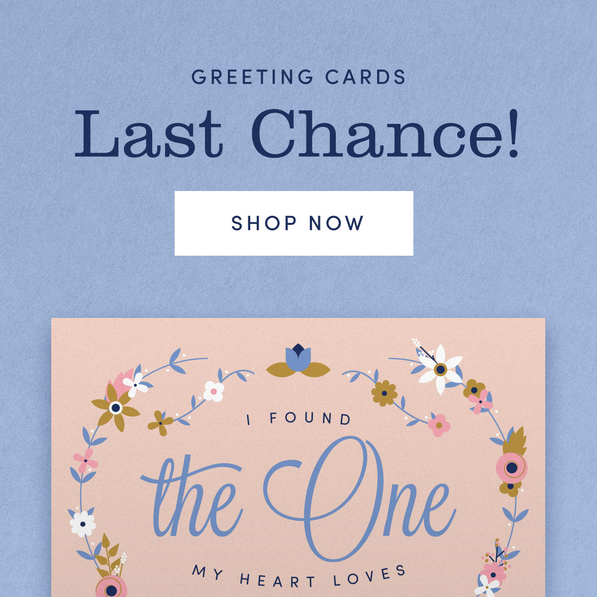 Last Chance greeting cards for only $1! Shop now.